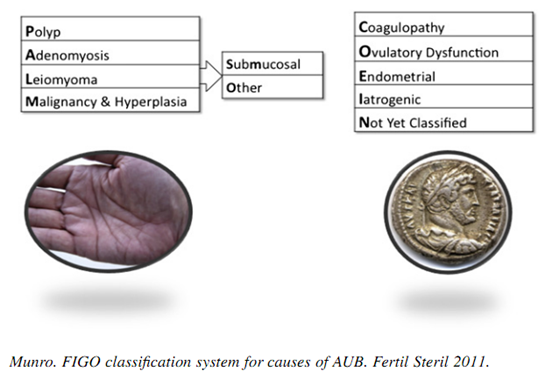 he thong phan loai figo